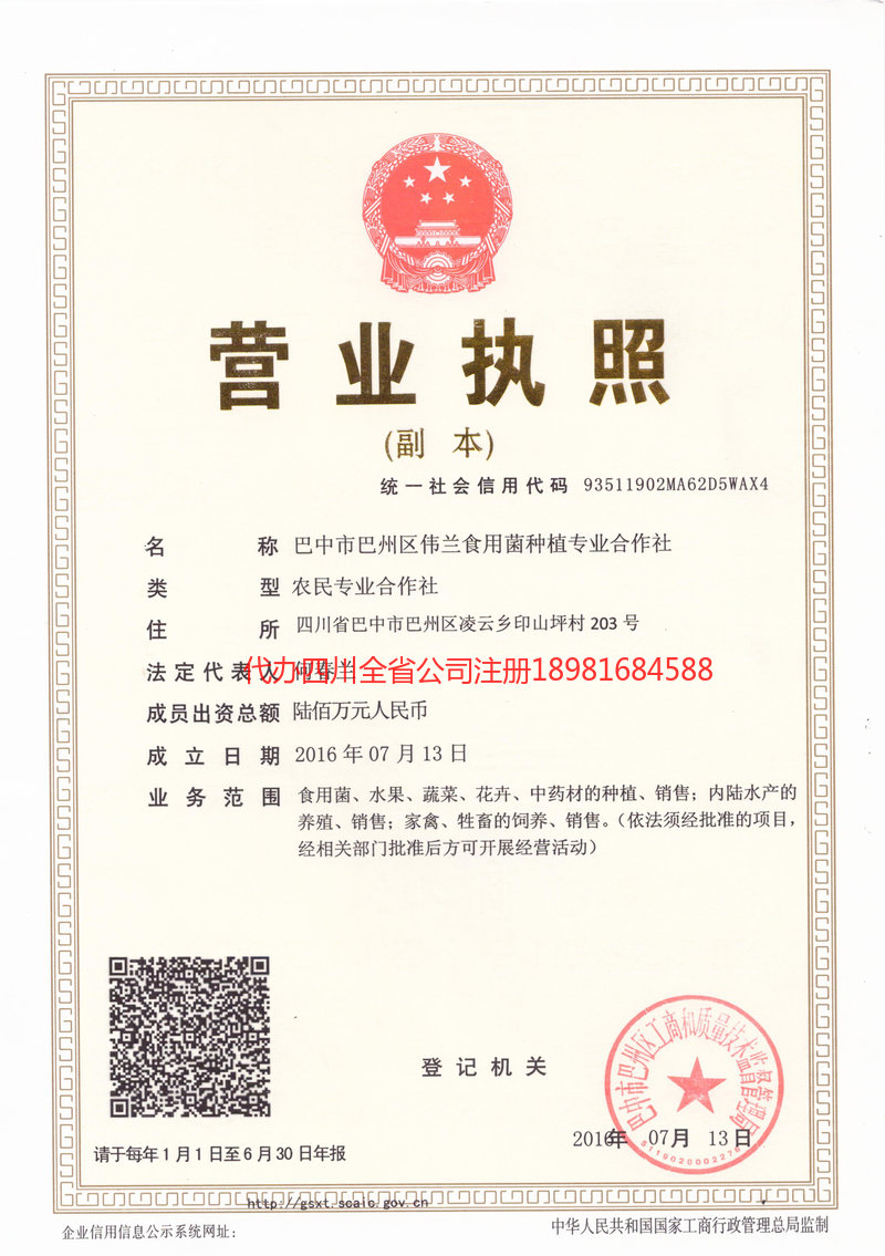 湖南湖南伟兰食用菌种植专业合作社